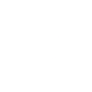 digital commerce_awards badge