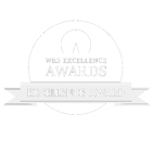 web excellence awards badge - r17 ventures