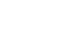 shopify-1